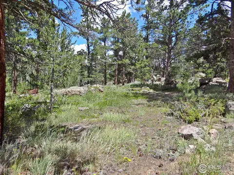 60 Erie Ct, Red Feather Lakes, CO 80545