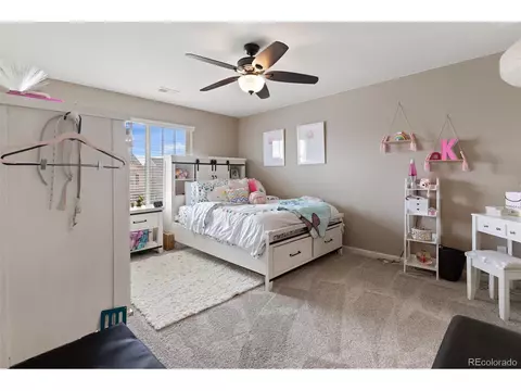 17618 E 111th Pl, Commerce City, CO 80022 photo 25