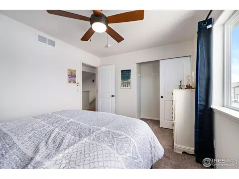 607 Rosedale St, Severance, CO 80550 photo 22
