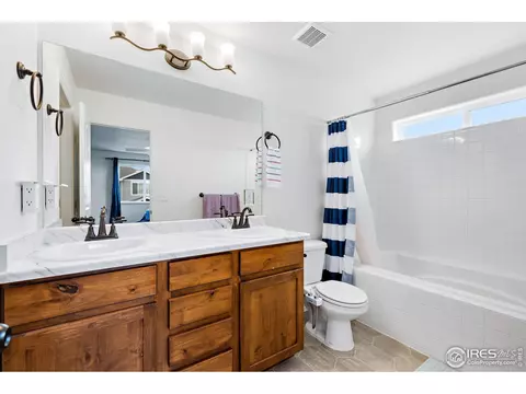 607 Rosedale St, Severance, CO 80550 photo 20