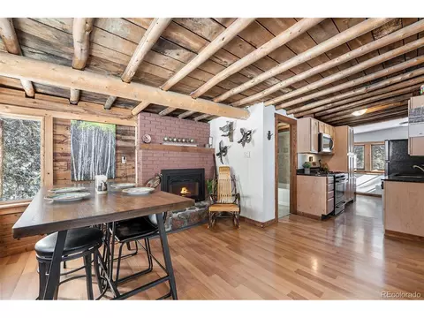 12696 S Sanger Ave, Pine, CO 80470 photo 5
