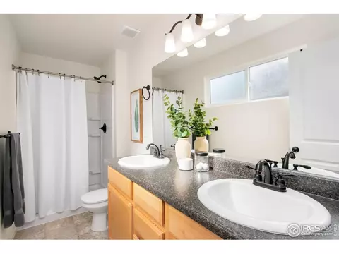 837 Sunlight Peak Dr, Windsor, CO 80550 photo 15