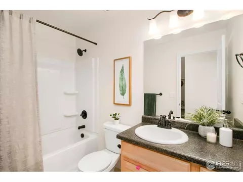 837 Sunlight Peak Dr, Windsor, CO 80550 photo 16