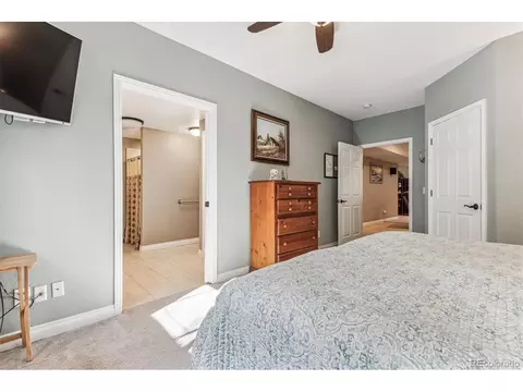 8707 Beech Way, Arvada, CO 80005 photo 38