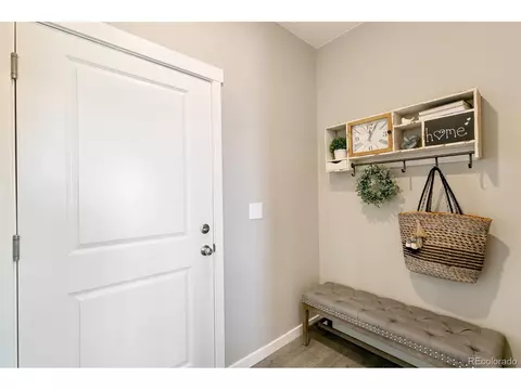 6015 Holstein Dr, Windsor, CO 80528 photo 9
