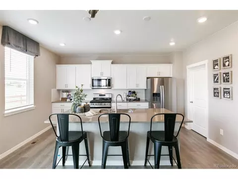 6015 Holstein Dr, Windsor, CO 80528 photo 6