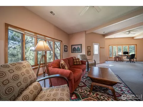 1045 Colard Ln, Lyons, CO 80540 photo 18