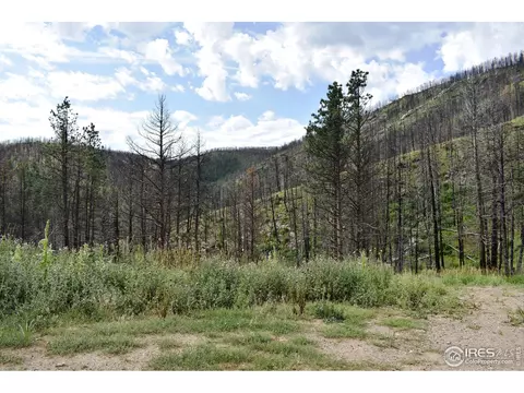 27836 Buckhorn Rd, Bellvue, CO 80512