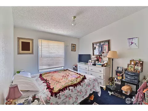 312 S 3rd Ave, Ault, CO 80610 photo 13