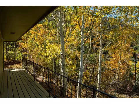 9610 Mohawk Trl, Cascade, CO 80809 photo 35