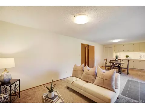 9610 Mohawk Trl, Cascade, CO 80809 photo 20