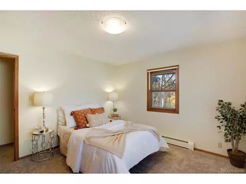 9610 Mohawk Trl, Cascade, CO 80809 photo 15