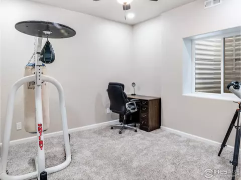 110 Primrose Ct, Wiggins, CO 80654 photo 31