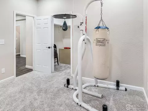 110 Primrose Ct, Wiggins, CO 80654 photo 32
