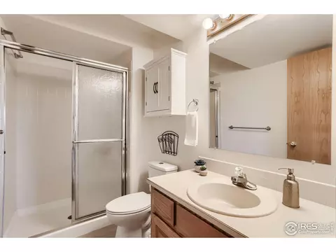 299 Blue Mountain Trl, Lyons, CO 80540 photo 24