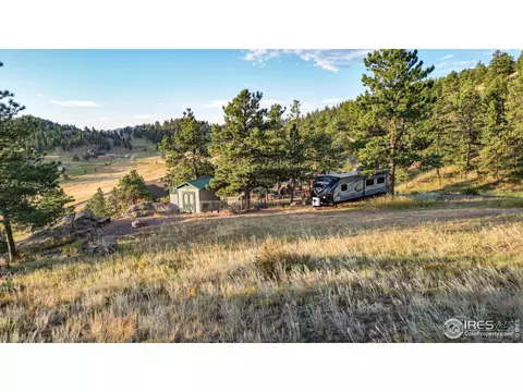 590 Bald Mountain Dr, Livermore, CO 80536