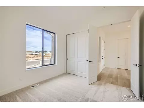 241 Cornelia Dr, Windsor, CO 80550 photo 16