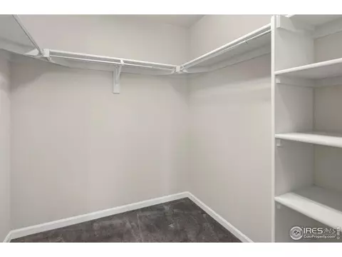 6735 Rainier Rd, Timnath, CO 80547 photo 22