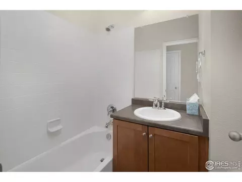 6735 Rainier Rd, Timnath, CO 80547 photo 31