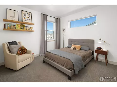 5212 Cloud Dance Dr, Timnath, CO 80547 photo 19