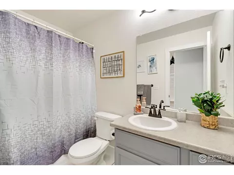 939 Scotch Pine Dr, Severance, CO 80550 photo 16