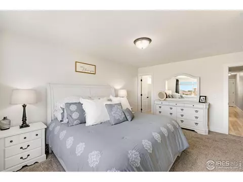 939 Scotch Pine Dr, Severance, CO 80550 photo 12