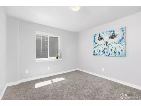 2442 Tabor St, Berthoud, CO 80513 photo 28