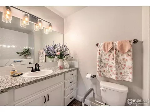 407 Windgate Ct, Johnstown, CO 80534 photo 19