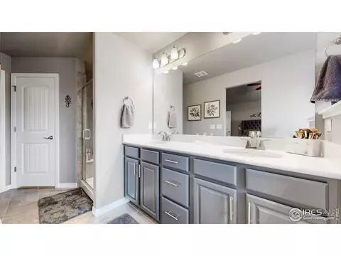 1741 Avery Plaza St, Severance, CO 80550 photo 13