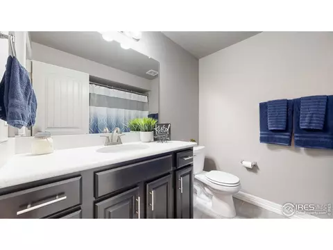 1741 Avery Plaza St, Severance, CO 80550 photo 26