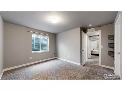 1741 Avery Plaza St, Severance, CO 80550 photo 25