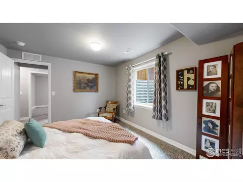 1741 Avery Plaza St, Severance, CO 80550 photo 29