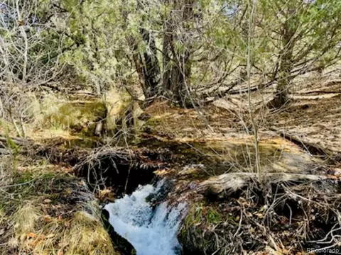 15 Lake Of The Fls, Mosca, CO 81146