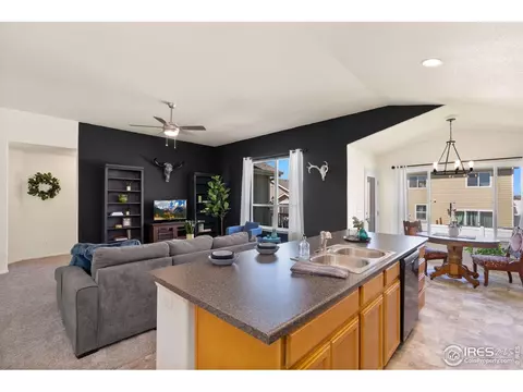 972 Mouflon Dr, Severance, CO 80550 photo 8