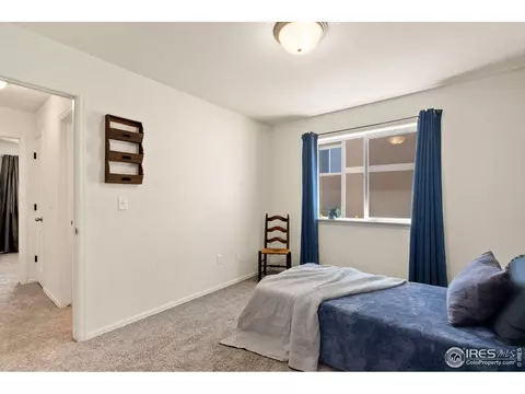 972 Mouflon Dr, Severance, CO 80550 photo 19