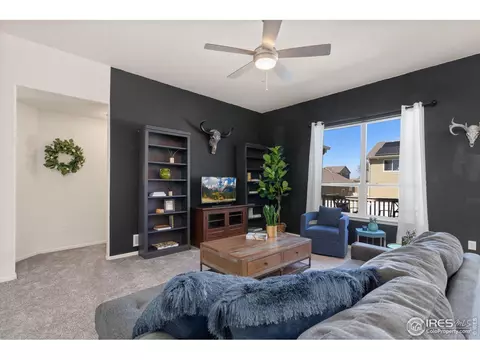 972 Mouflon Dr, Severance, CO 80550 photo 7