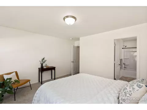 972 Mouflon Dr, Severance, CO 80550 photo 16