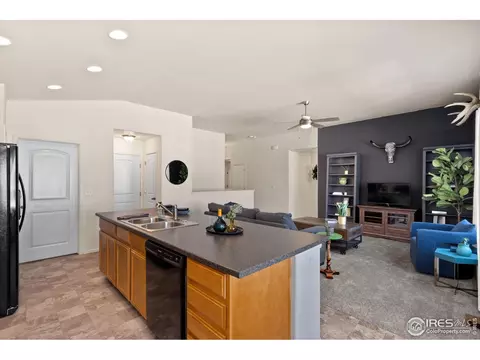 972 Mouflon Dr, Severance, CO 80550 photo 9