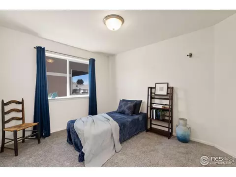 972 Mouflon Dr, Severance, CO 80550 photo 18