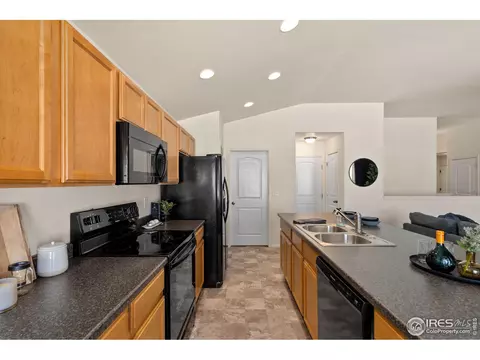 972 Mouflon Dr, Severance, CO 80550 photo 12