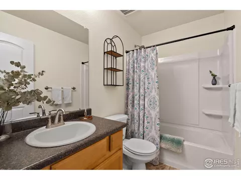 972 Mouflon Dr, Severance, CO 80550 photo 21