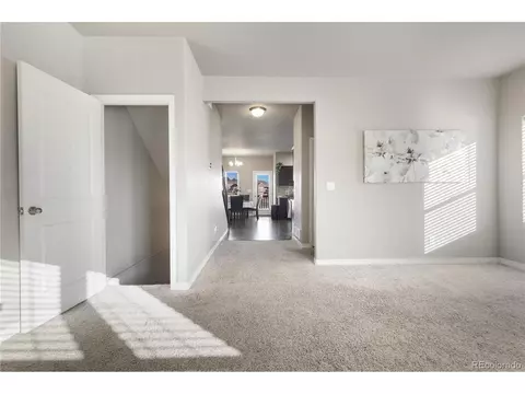 19504 Lindenmere Dr, Monument, CO 80132 photo 15