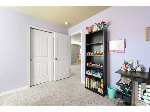 19504 Lindenmere Dr, Monument, CO 80132 photo 28