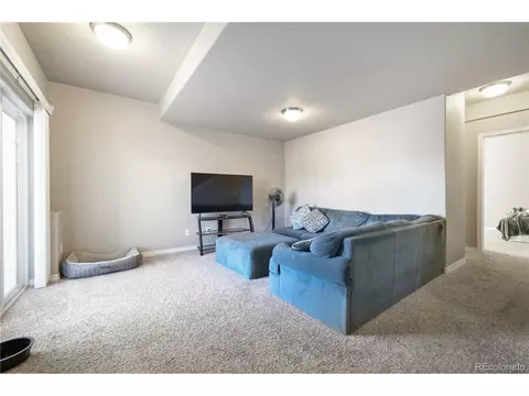 19504 Lindenmere Dr, Monument, CO 80132 photo 43
