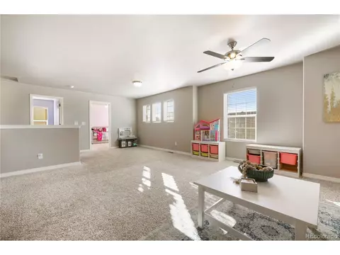 19504 Lindenmere Dr, Monument, CO 80132 photo 32