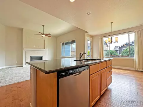 854 Corn Stalk Dr, Windsor, CO 80550 photo 11