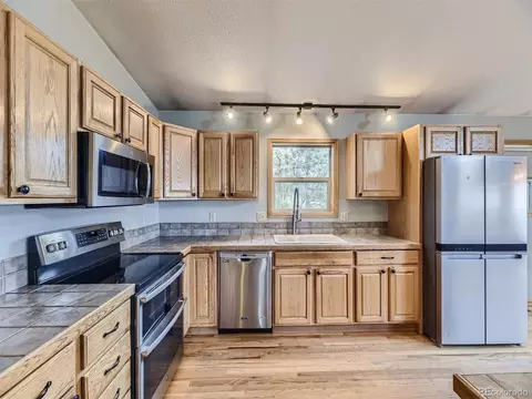127 N Pine Dr, Bailey, CO 80421 photo 8