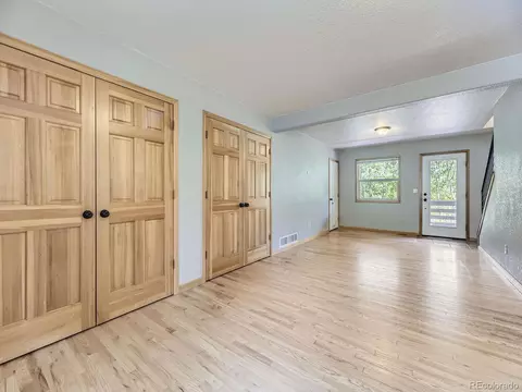 127 N Pine Dr, Bailey, CO 80421 photo 17