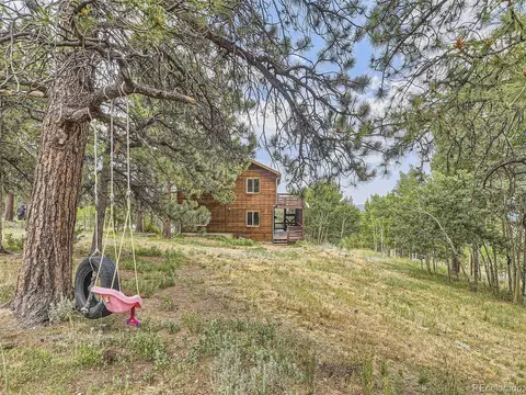 127 N Pine Dr, Bailey, CO 80421 photo 25