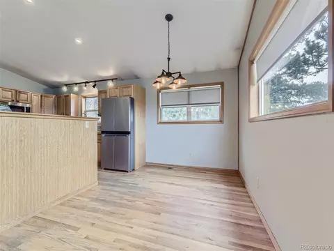 127 N Pine Dr, Bailey, CO 80421 photo 10